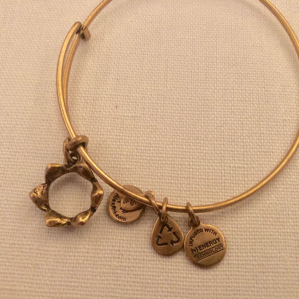 Alex and Ani Crown bracelet